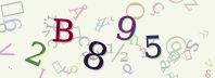 This is a captcha-picture. It is used to prevent mass-access by robots. (see: www.captcha.net)